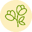 Frische Blumen Frische Blumen